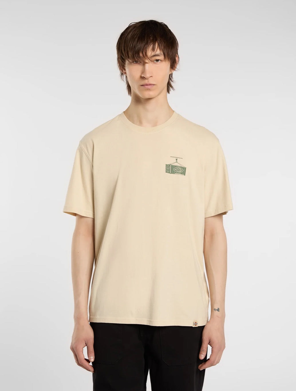 Dickies - Apison T-Shirt - Beige