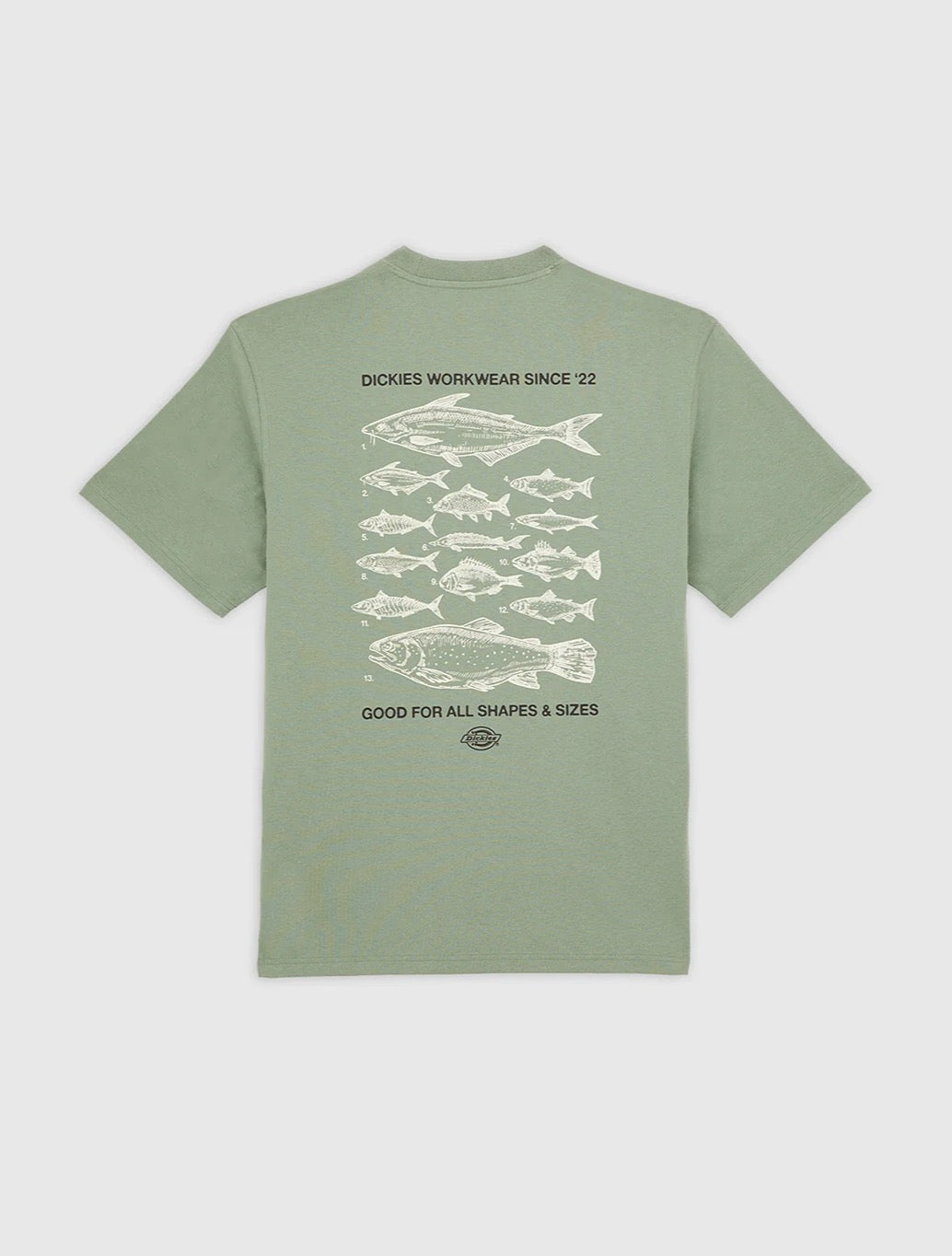 Dickies - Laryville Mid-Weight T-Shirt - Light Green