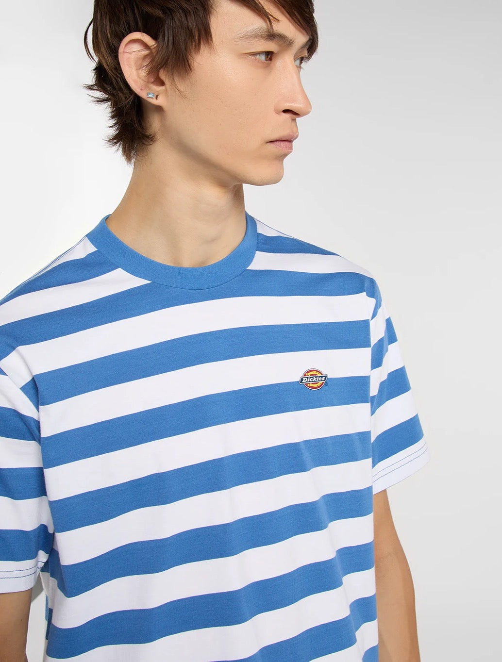 Dickies - Rivergrove Midweight T-Shirt - Blue Stripe
