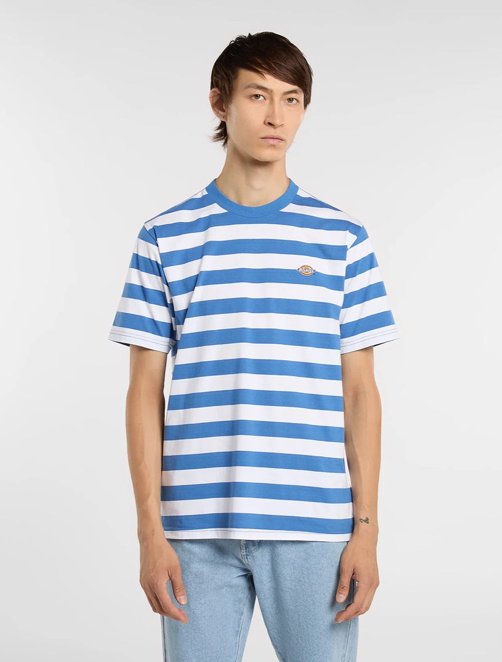 Dickies - Rivergrove Midweight T-Shirt - Blue Stripe