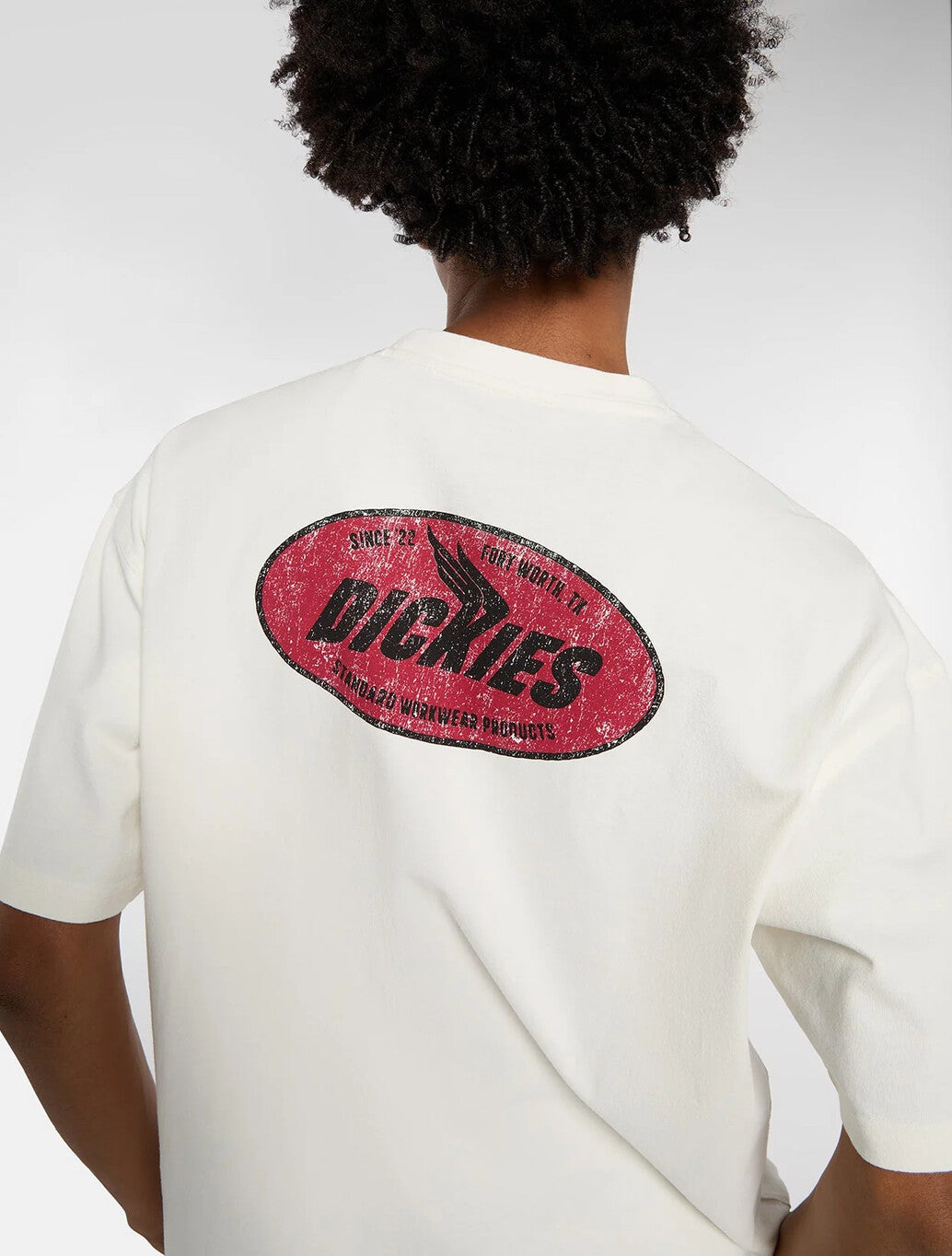 Dickies Shonto Midweight T-Shirt in Beige