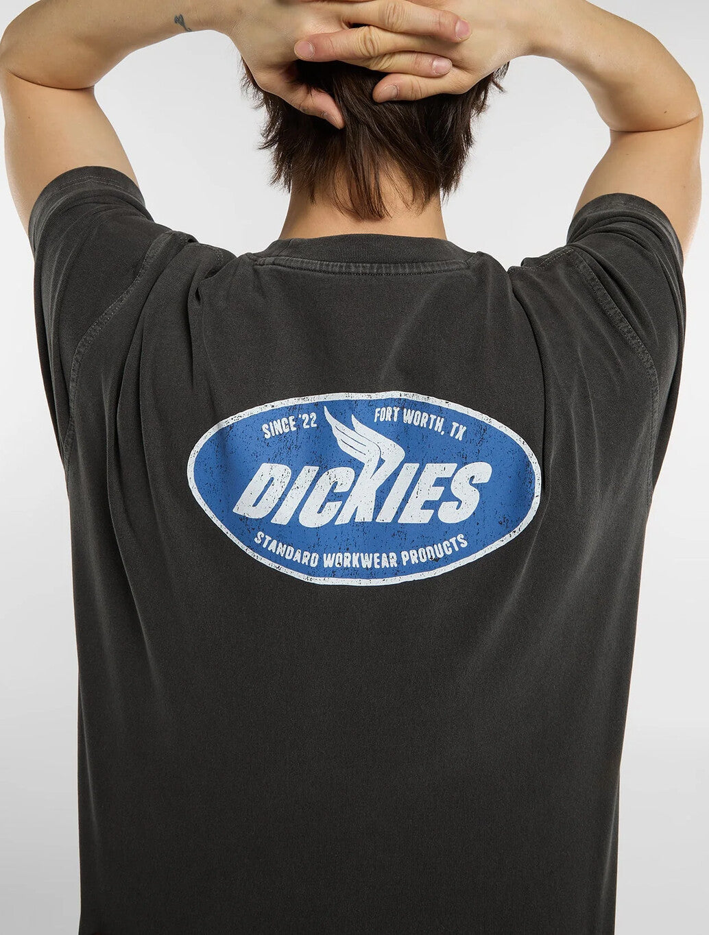 Dickies Shonto Midweight T-Shirt in Black
