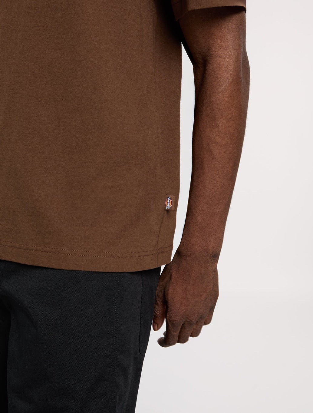 Dickies - Torrey Lightweight T-Shirt - Brown