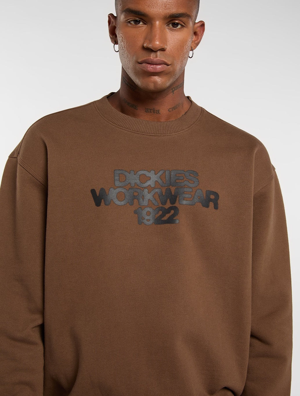 Dickies - Torrey Sweatshirt - Brown