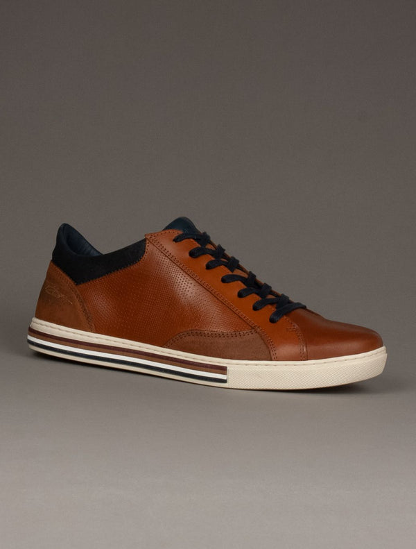 Tommy Bowe Shoe – Hartley Casual Leather Shoe – Camel