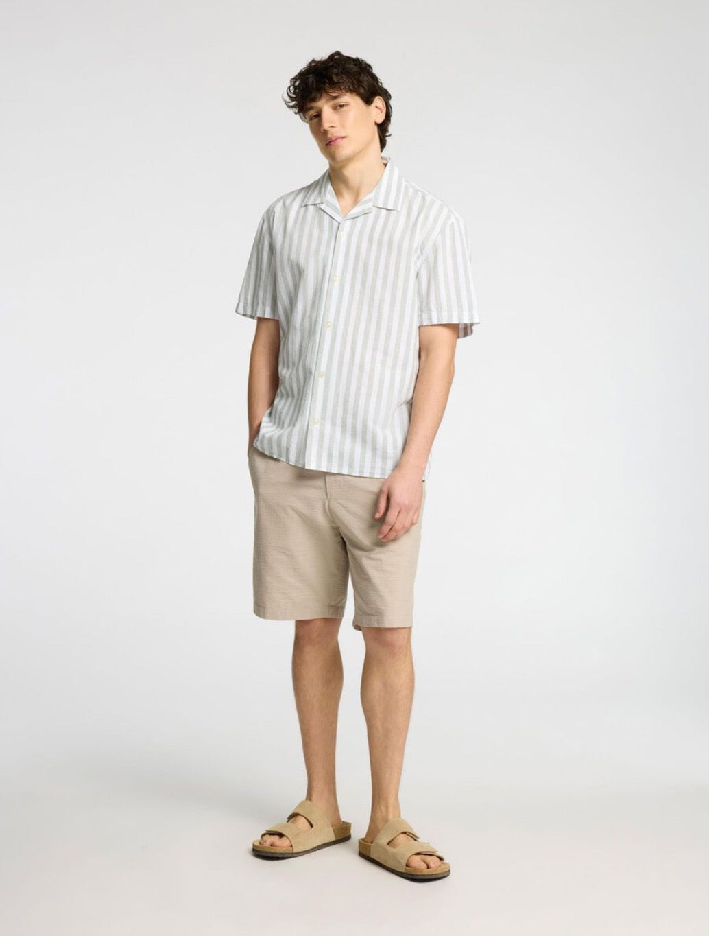 Selected Homme - Classic Short Sleeved Shirt - Light Green Stripe