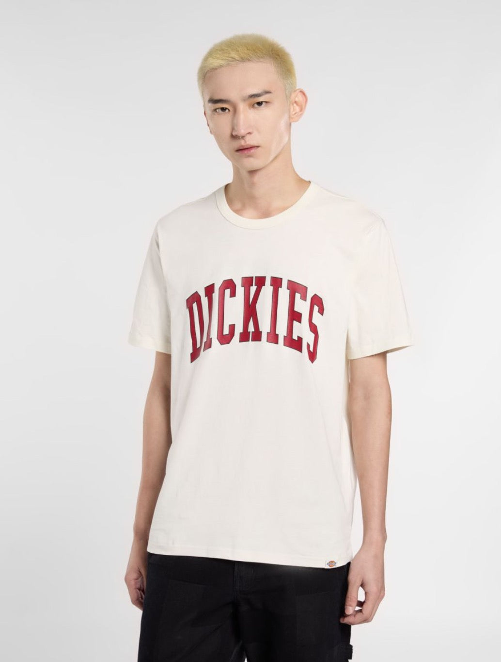 Dickies - Aitkin Chest Logo T-Shirt - Beige