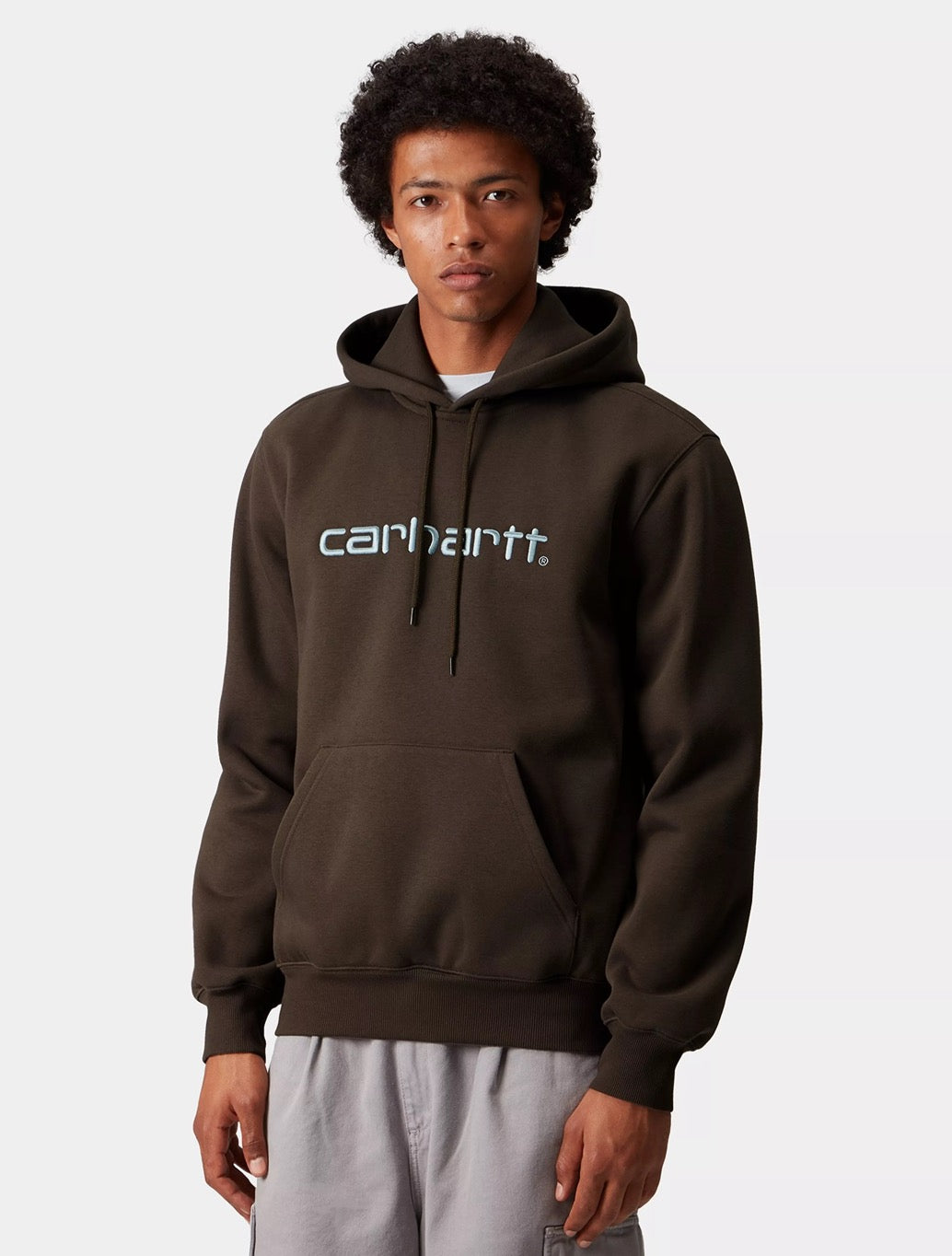 Carhartt WIP - Hooded Carhartt Logo Sweatshirt - Dark Brown