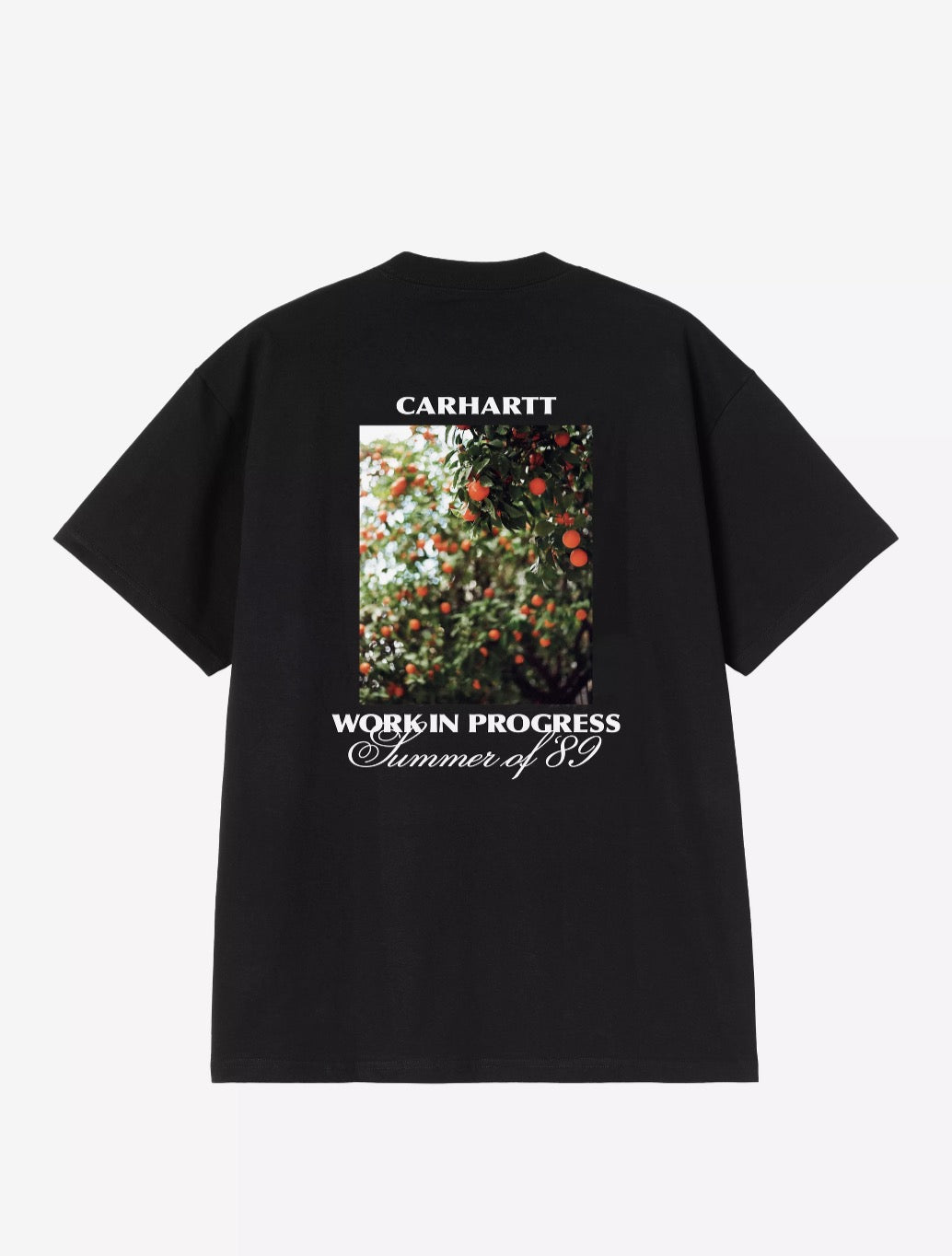 Carhartt WIP S/S Warm Views T-Shirt in Black