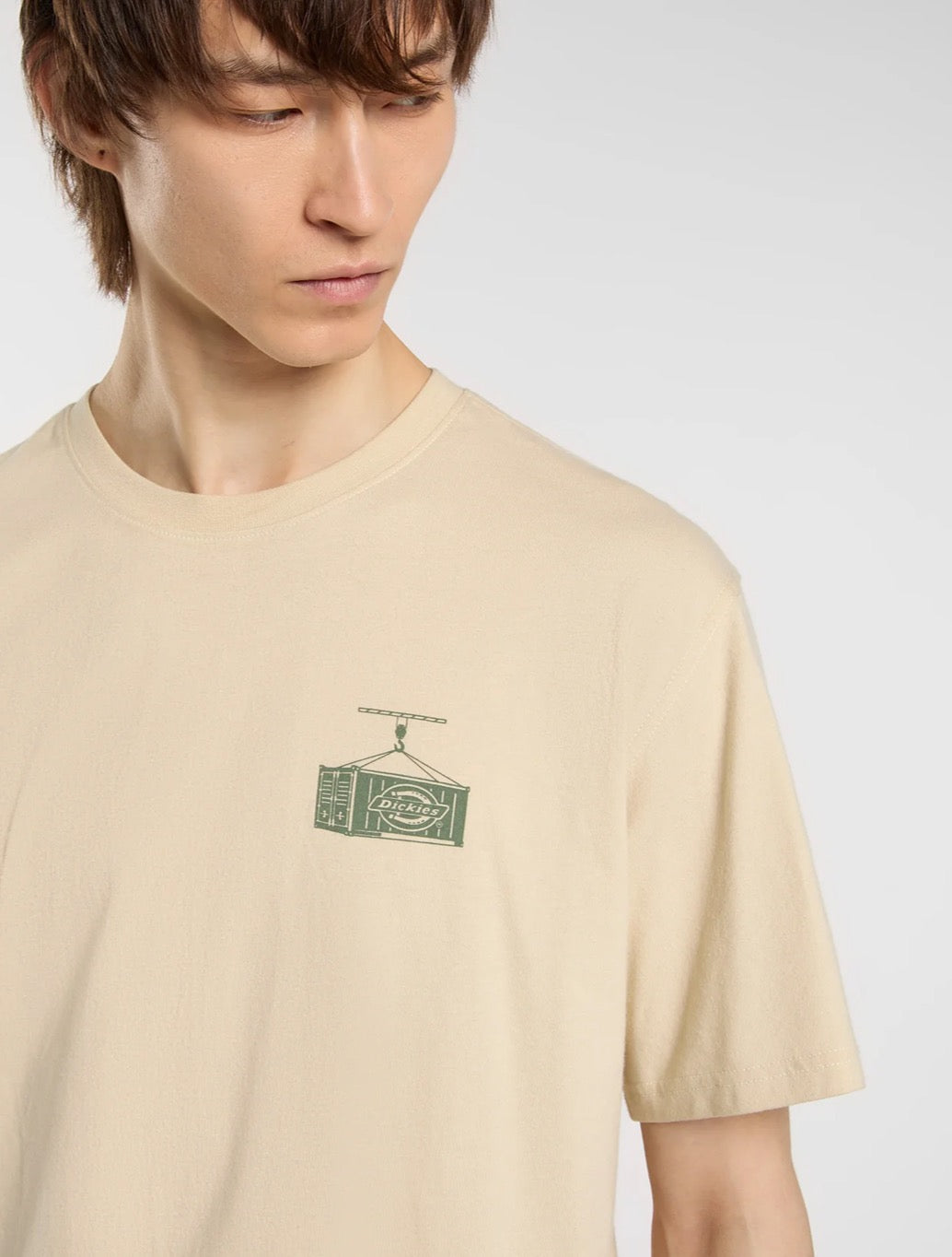 Dickies - Apison T-Shirt - Beige
