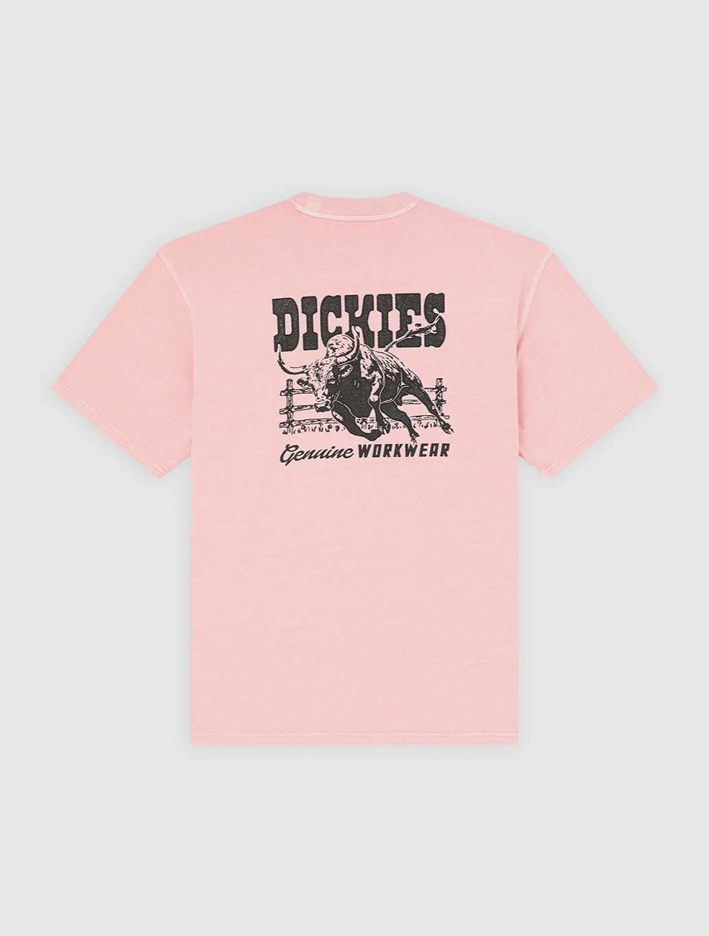 Dickies - Buchtell Midweight T-shirt - Peach