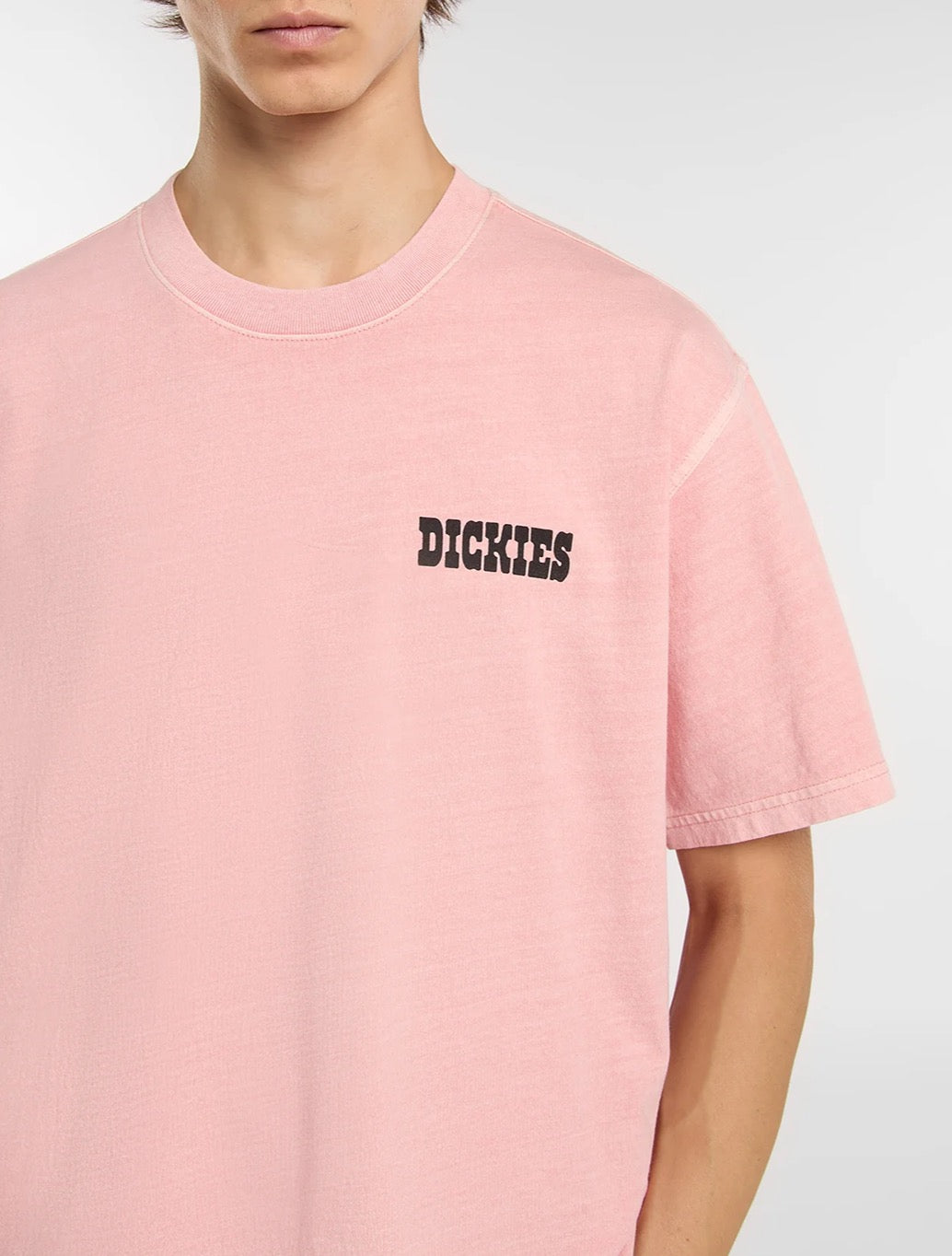 Dickies - Buchtell Midweight T-shirt - Peach