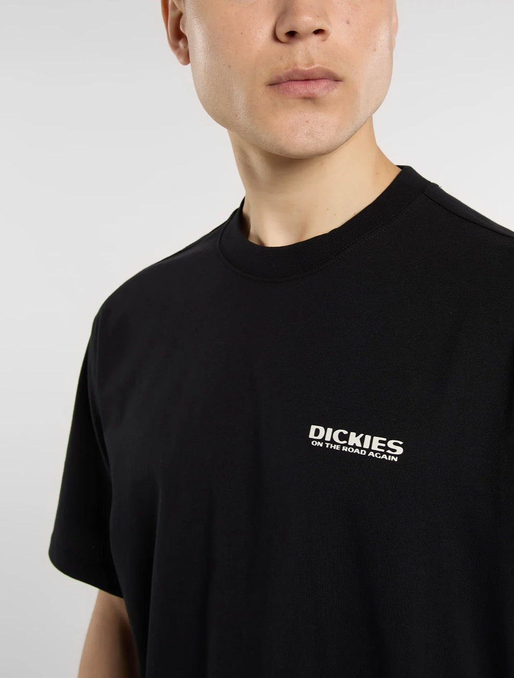 Dickies - Burns T-Shirt - Black