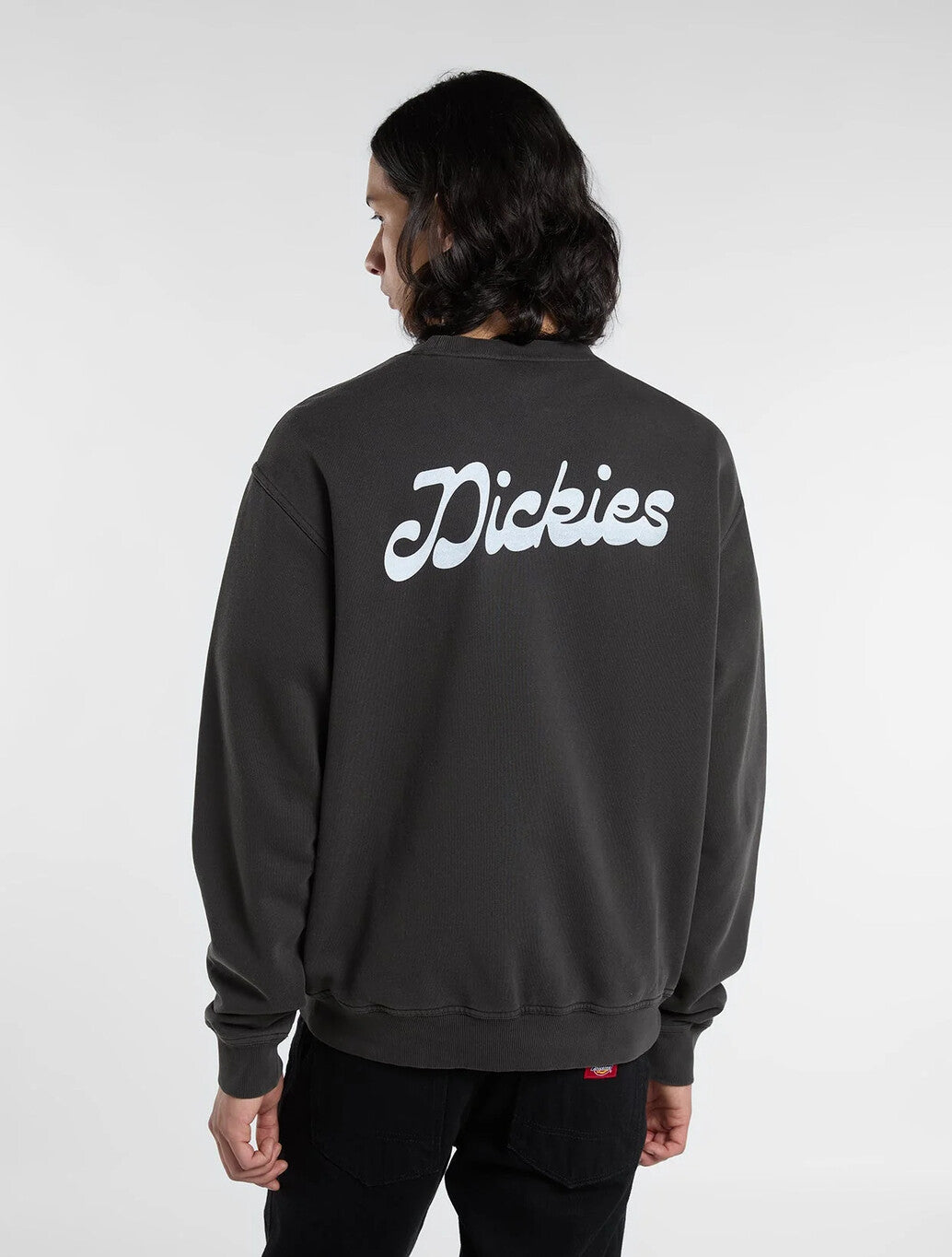 Dickies Cornville Sweatshirt in Black