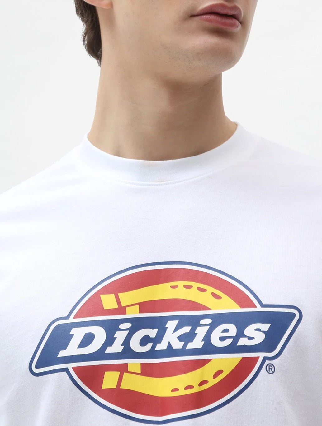 Dickies - Icon Midweight T-Shirt - White