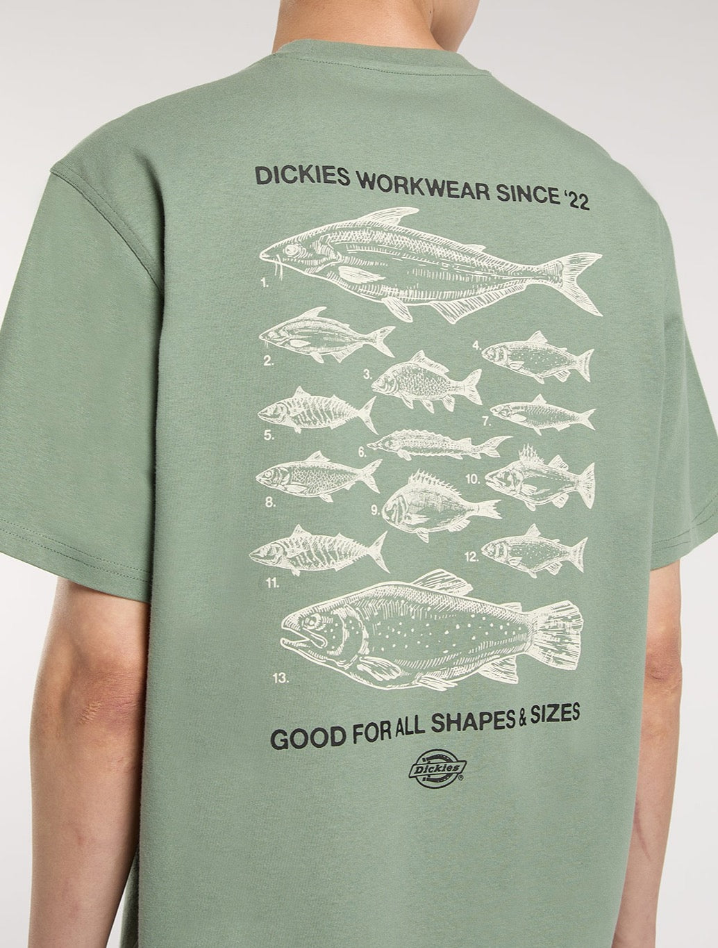 Dickies - Laryville Mid-Weight T-Shirt - Light Green