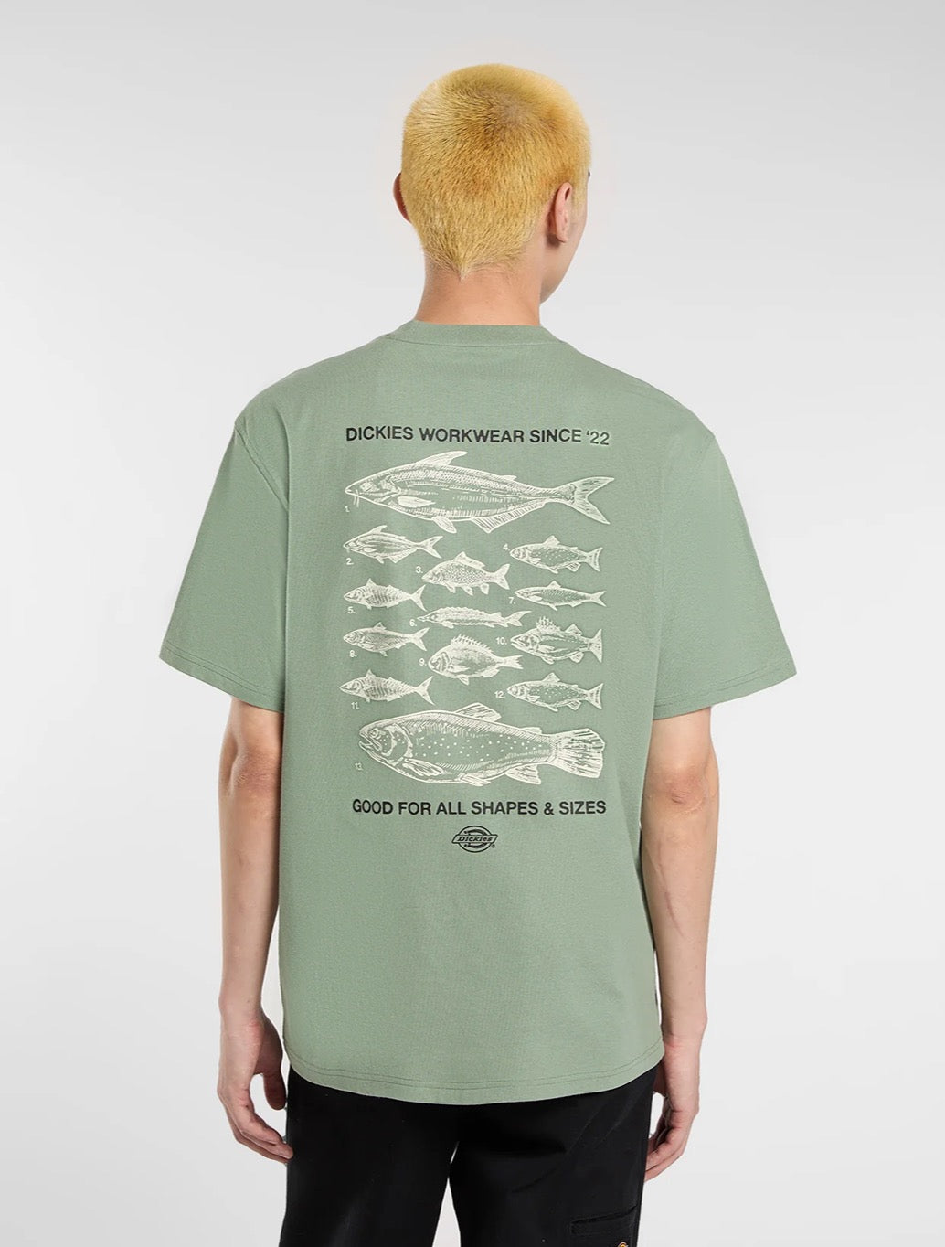 Dickies - Laryville Mid-Weight T-Shirt - Light Green