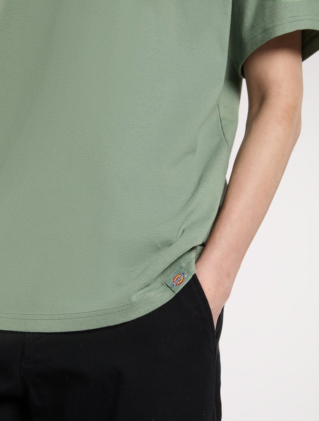 Dickies - Laryville Mid-Weight T-Shirt - Light Green