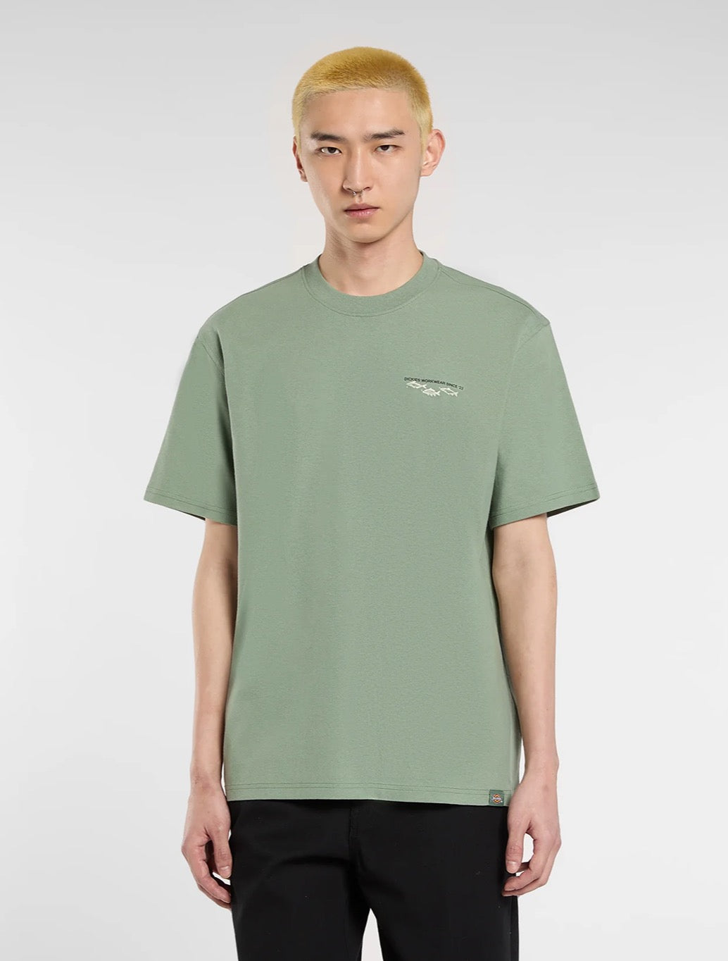 Dickies - Laryville Mid-Weight T-Shirt - Light Green