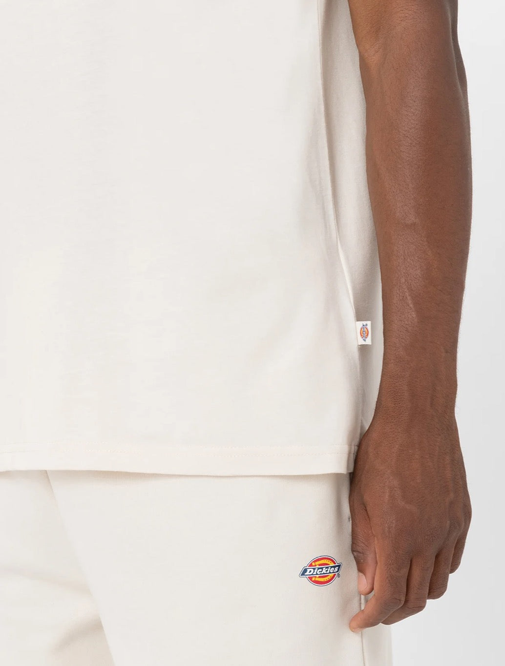 Dickies - Mapleton Lightweight T-Shirt - Beige