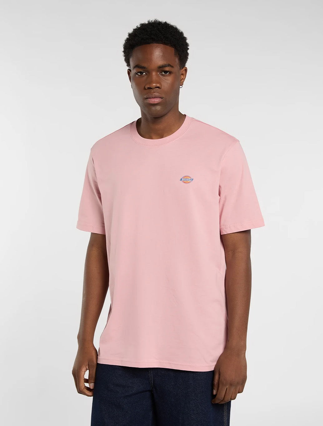 Dickies - Mapleton Lightweight T-Shirt - Peach