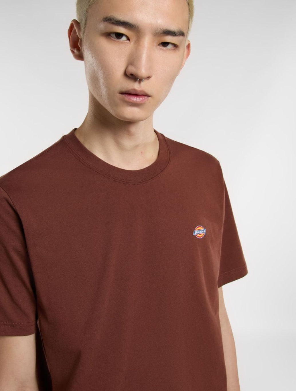Dickies - Mapleton Short Sleeve T-Shirt - Brown