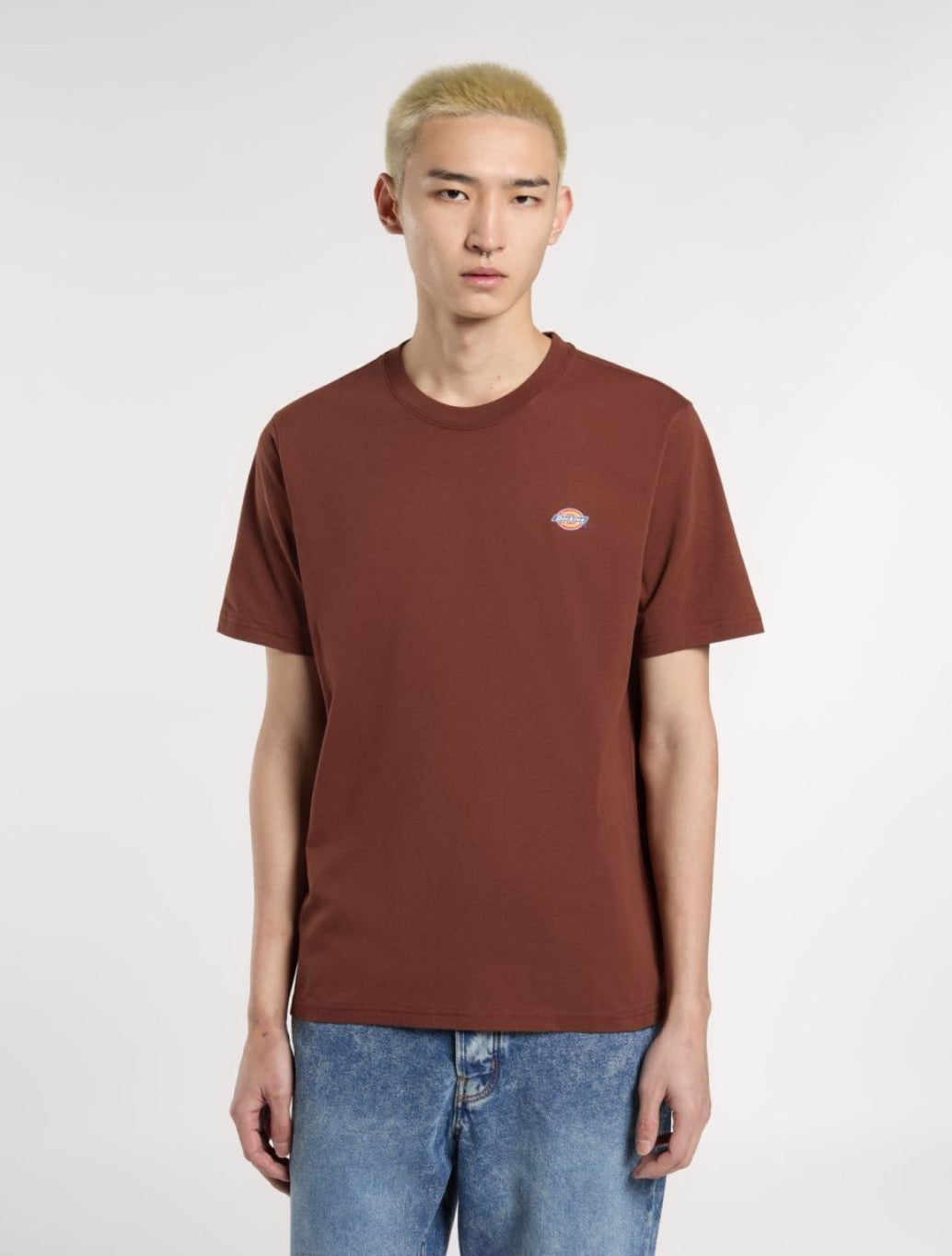 Dickies - Mapleton Short Sleeve T-Shirt - Brown