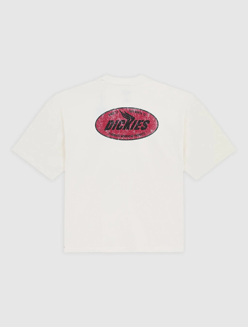 Dickies Shonto Midweight T-Shirt in Beige