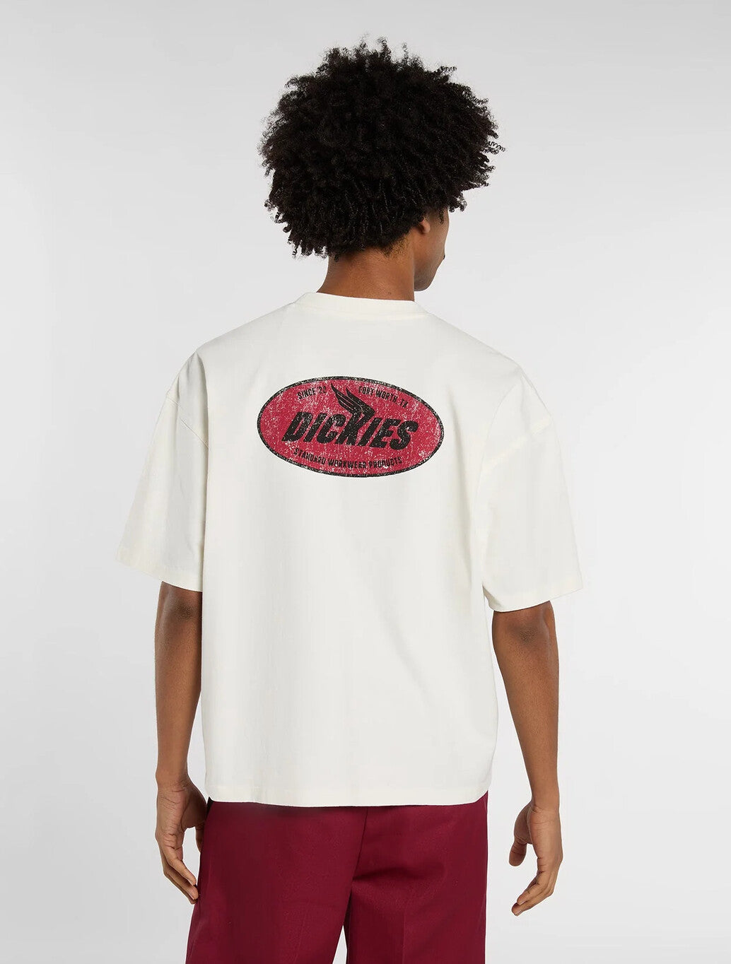 Dickies Shonto Midweight T-Shirt in Beige