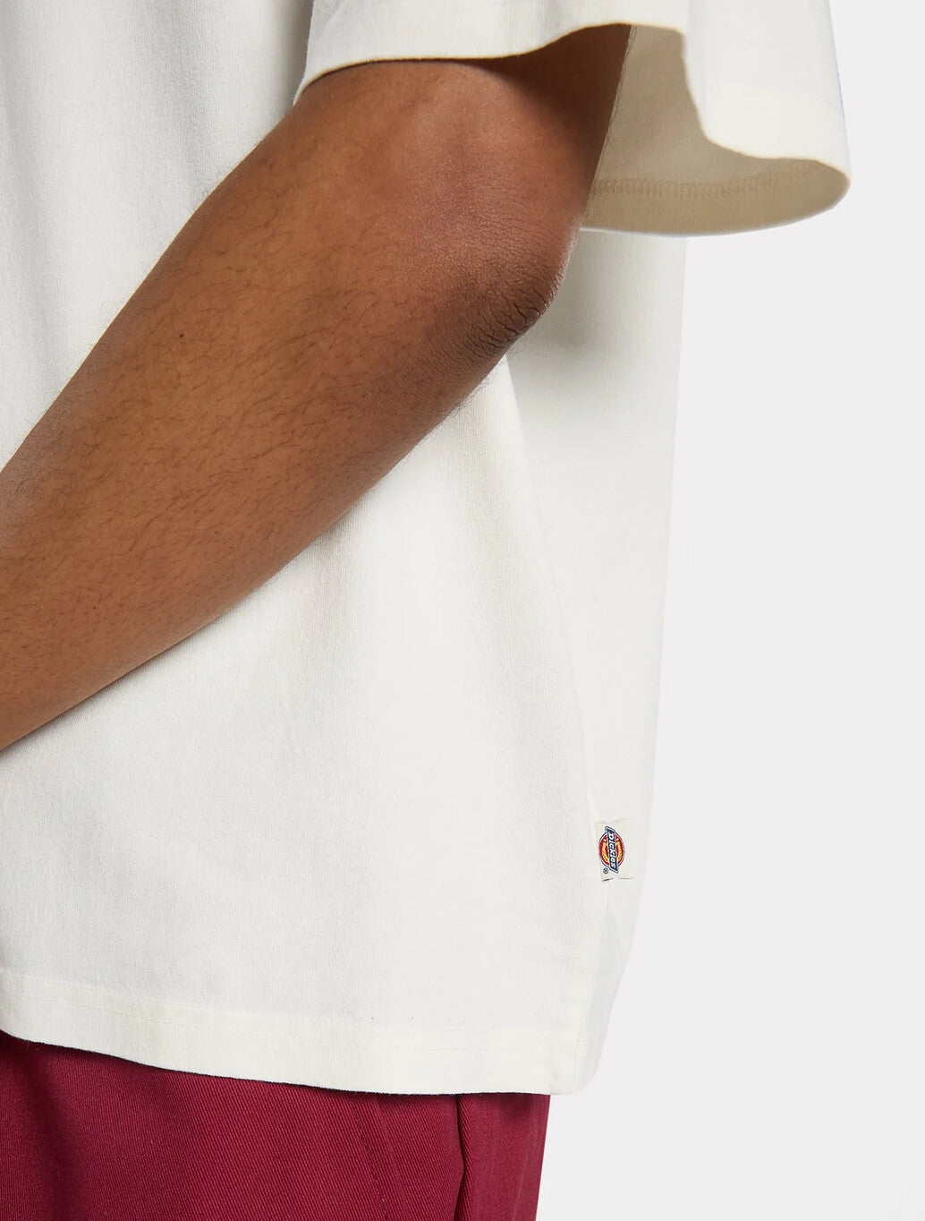 Dickies Shonto Midweight T-Shirt in Beige