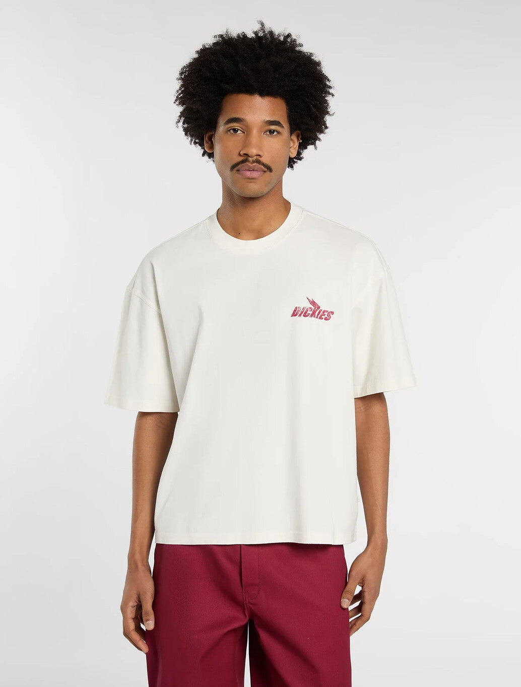 Dickies Shonto Midweight T-Shirt in Beige