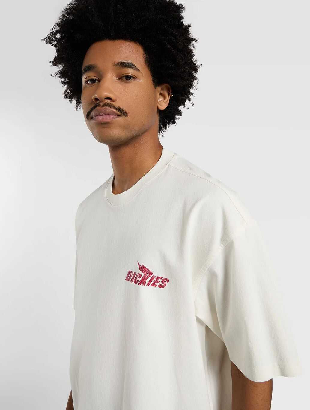 Dickies Shonto Midweight T-Shirt in Beige