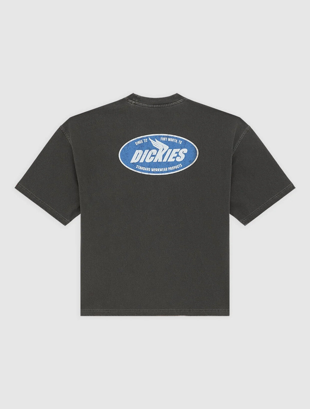 Dickies Shonto Midweight T-Shirt in Black