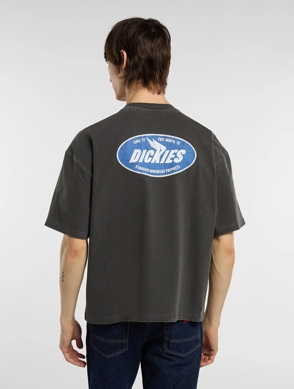Dickies Shonto Midweight T-Shirt in Black