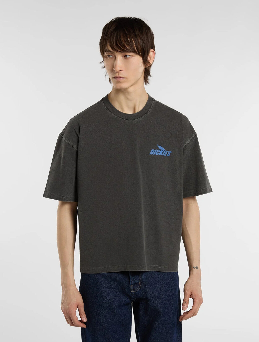 Dickies Shonto Midweight T-Shirt in Black