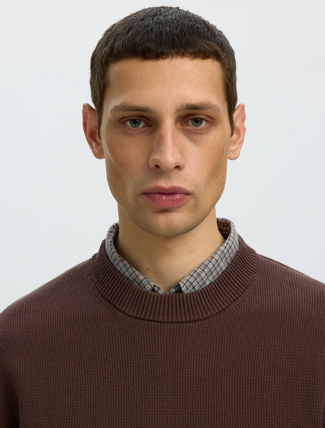 Selected Dane Crew Neck Pullover in Dark Brown