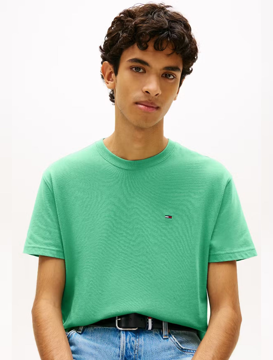 Tommy Jeans Embroidered Flag T-Shirt in Light Green